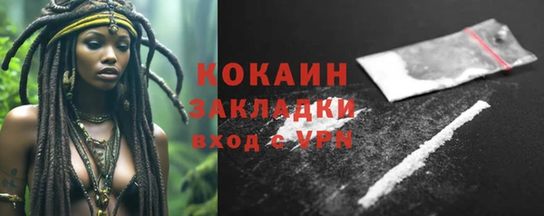 твердый Богородицк