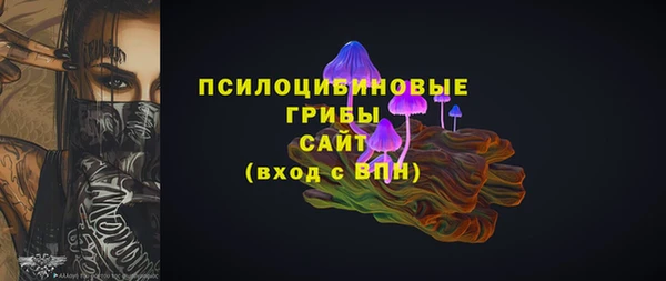 твердый Богородицк