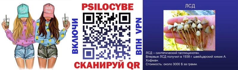Псилоцибиновые грибы прущие грибы  Альметьевск 